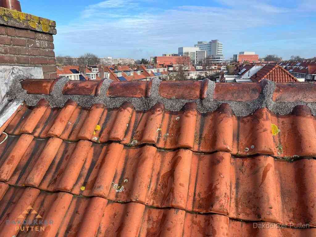 Nieuw bitumen plat dak met uitzicht over woonwijk in Putten Nieuw bitumen plat dak met uitzicht over woonwijk in Putten