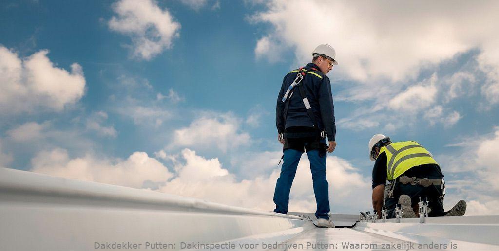 Dakinspectie Voor Bedrijven Putten