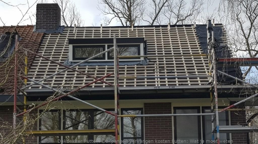 Dakpannen Vervangen Kosten Putten